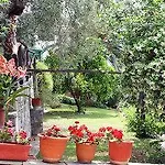 Diplomats' Holidays Appartement *