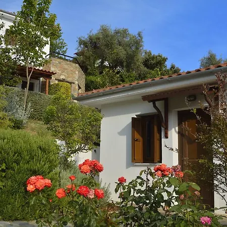 Diplomats' Holidays Хортон