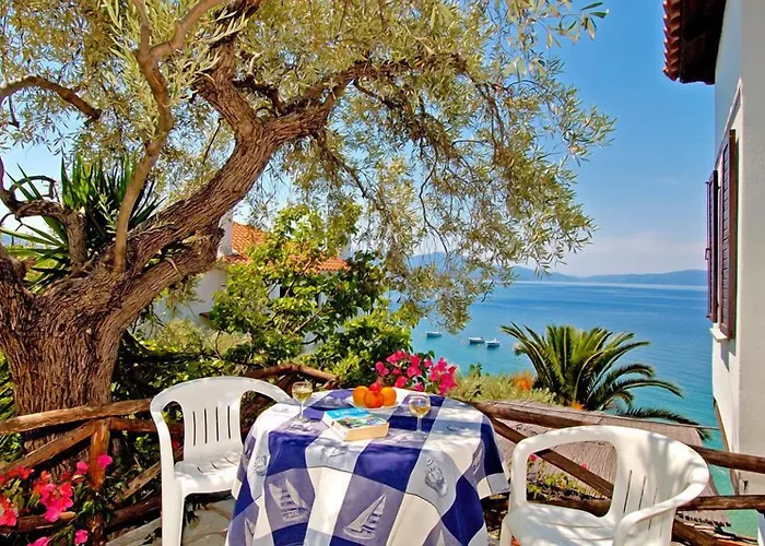 Diplomats' Holidays *